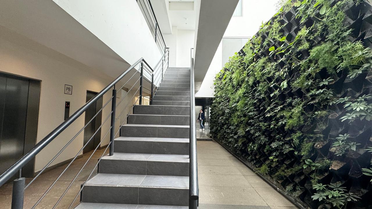 Escalera de acceso junto al muro verde en planta baja