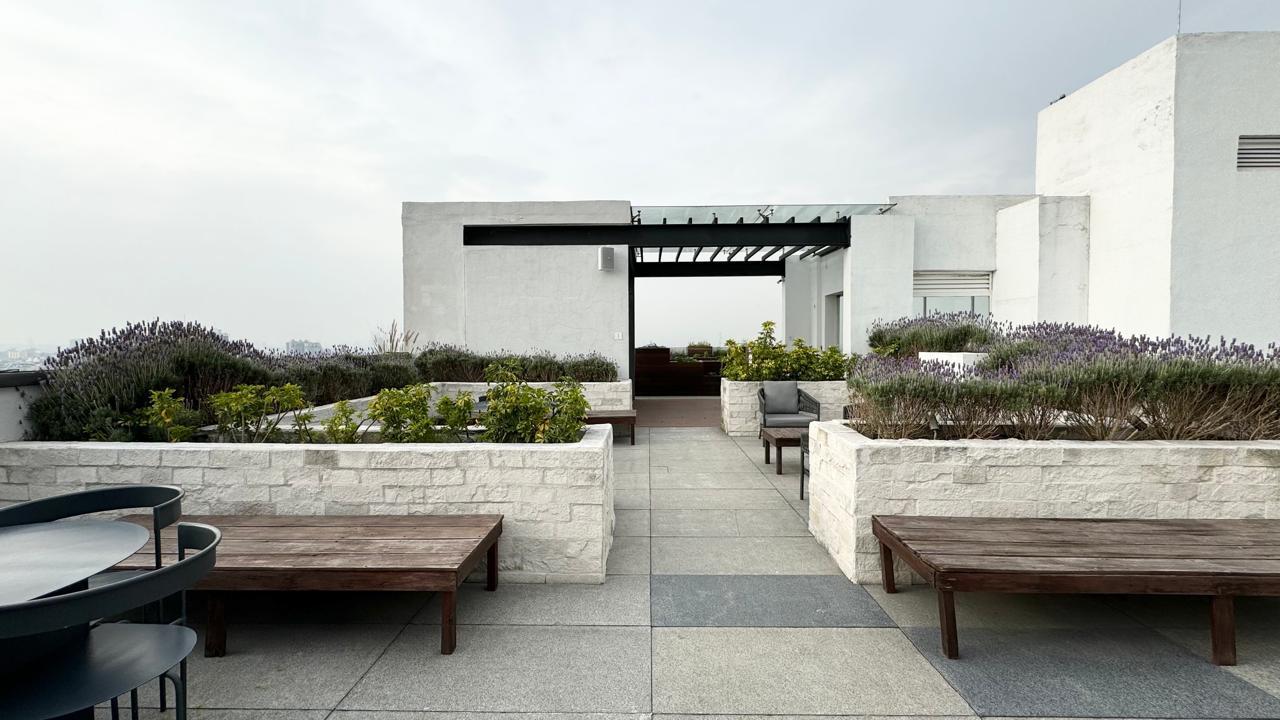 Terraza con pérgola, bancas de madera y jardineras de lavanda