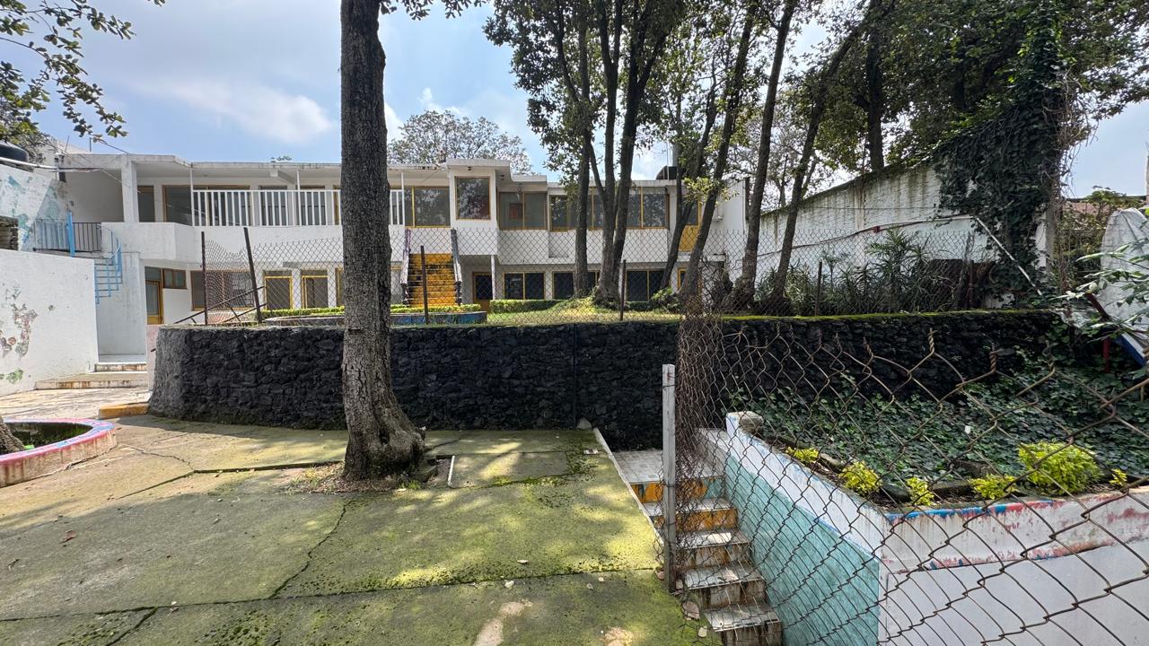 Terraza y muro de piedra volcánica con vegetación